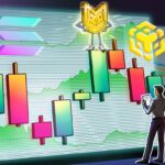 BNB Chain catches memecoin wave as Solana wipes out