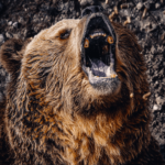 Bitcoin Price Watch: BTC’s Next Move Hinges on $83.5K Support Amid Low Demand