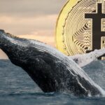 Cryptoquant Report Flags Stalled Whale Accumulation, Miner Pressure Hits Bitcoin