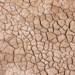 Ripple Deploys RLUSD in Kenya as Blockchain Aid Faces Real-World Drought Test