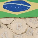 Survey: More Brazilians Invest in Cryptocurrency Than in Dollars, Gold and Stocks